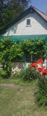 Дача поруч з Дніпром  с. Циблі Переяслав Хмельницький - фото 1