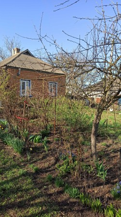 Продаю будинок с.Гречаники - фото 1