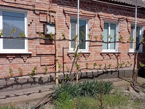 Продам сдам обменяю на авто - дом 4 комнаты Нікополь