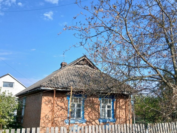 Продам будинок з ділянкою 26соток в Стрижавці - фото 1