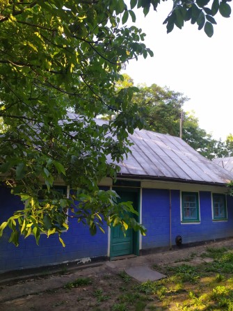Продам будинок в с. Заозерне - фото 1