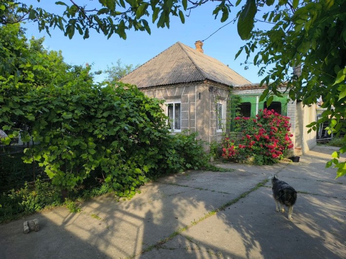Будинок Підгородне - фото 1
