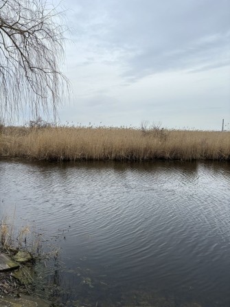 Продам Дачу, на реке Самара, Новоселовка, Лебединный плес, Новоселица - фото 1