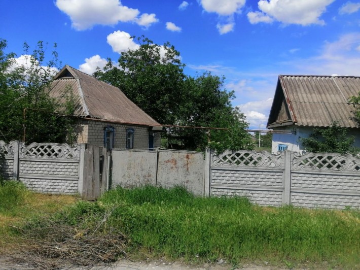Продам Дом в Елизоветовке, Газ, Петриковский р-н - фото 1