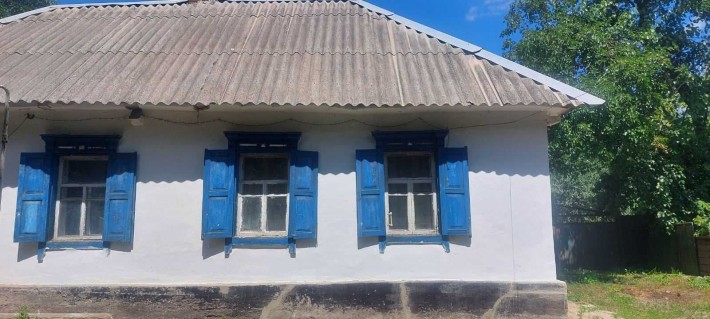 Продам дом 2комн. 54м2 ,  с.Партизанское  /р.Орель, лес/ - фото 1