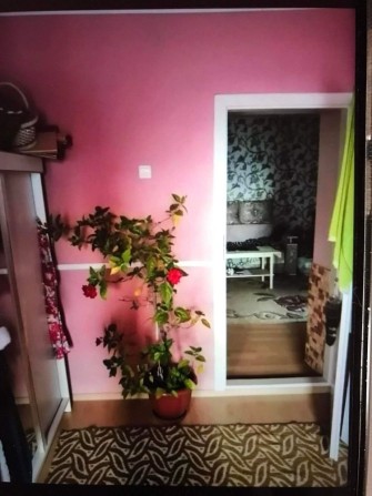 Продам будинок не подалік міста Чоп - фото 1