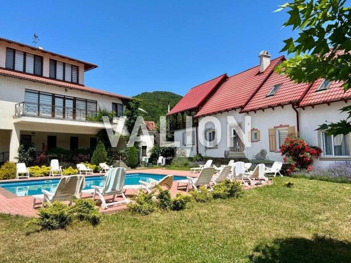 Продаж будинку 866 м2 з бассейном у центрі с.Шаян, Закарпатська обл - фото 1