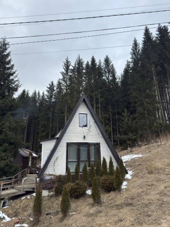 Продам котедж в Яблуниці Торг - фото 1