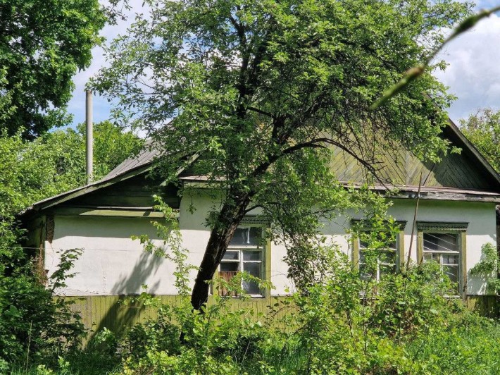 Продається окремий будинок практично в оточенні лісу - фото 1