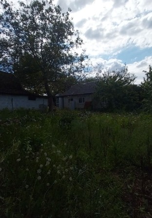 Продам хату с. Чмирівка - фото 1