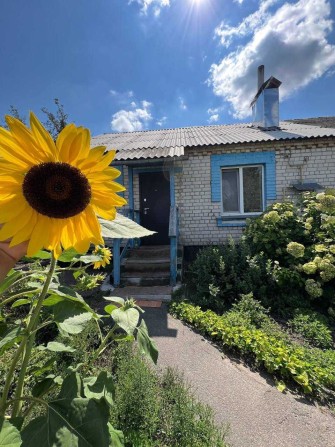 Продам будинок 20 км від Києва - фото 1
