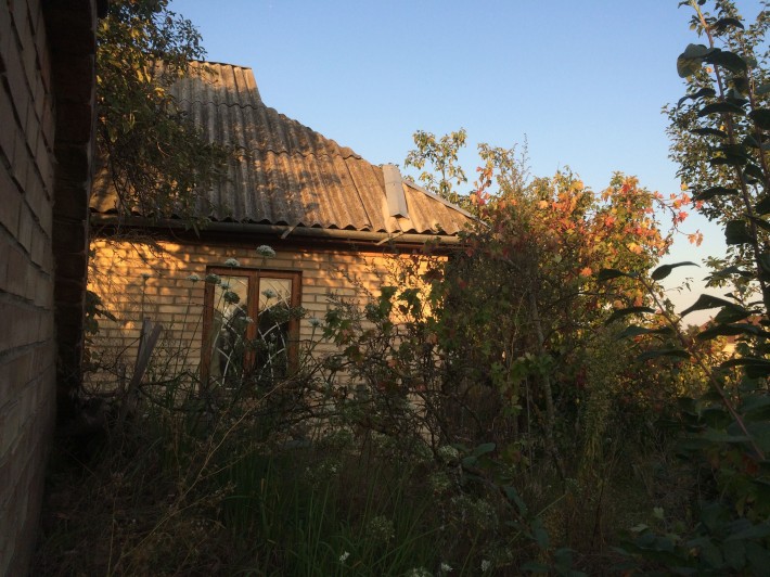 Будинок + 44 сотки, Новосілки, Вишгородський р-н, 27 км від Києва - фото 1