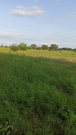 Ділянка 24сот. під забудову Літочки с. 35км від Києва метро Лісова - фото 1