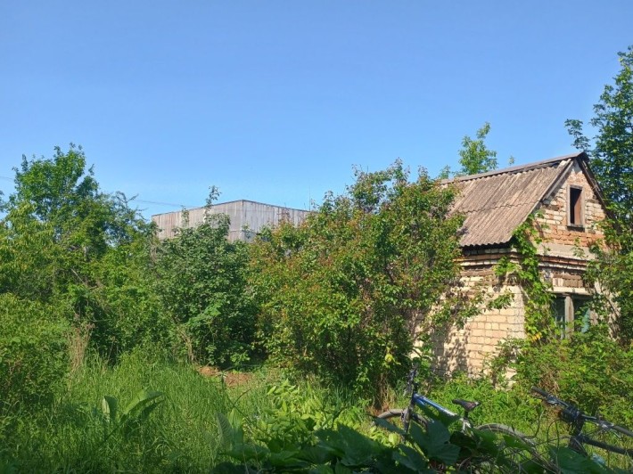 Мічурінец Довгинціве - фото 1