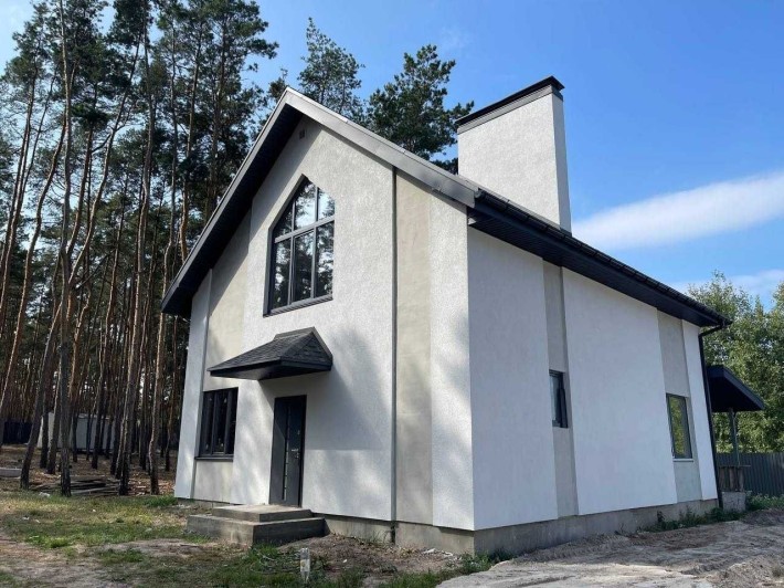 Продам сучасний будинок у Лісовій Бучі - фото 1