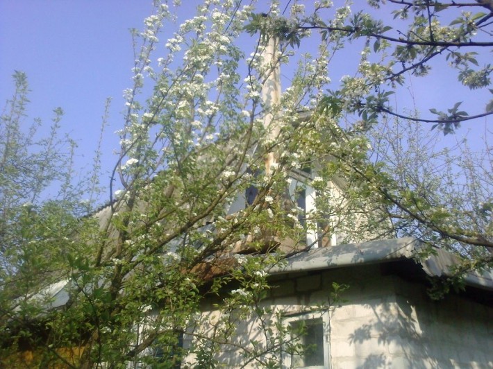 Дача на продаж в Чубінському ( ст Агро ) в 15 км від метро Бориспільсь - фото 1