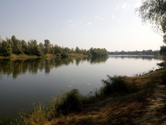 Терміновий продаж ділянки в с. Пухівка!