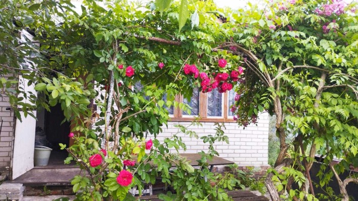 Дача вигідне розташування Ціну знижено.В самому місті - фото 1