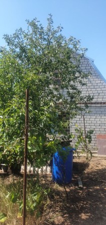 Продаю участок земли  в р. Коларовки/ Каравеллово - фото 1