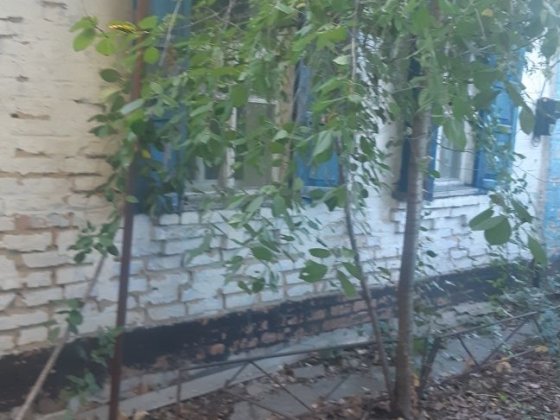 Рибці.Продам частину будинку з окремим двором, земельна ділянка 10сот Полтава