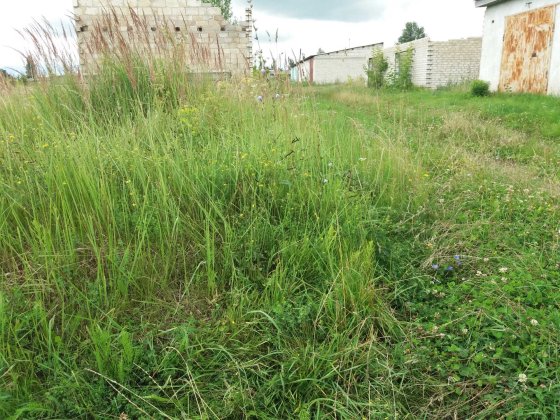 Место с готовым фундаментом под строительство гаража. Глухів