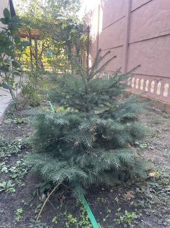 Дом дача. СВТ Океан. - фото 1