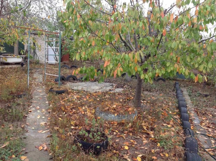 продаю дачу возле Кирьяковки - фото 1