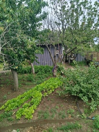 продам земельный участок и летний домик - фото 1