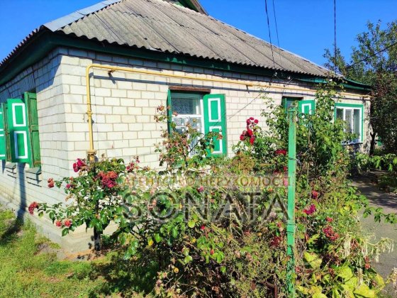 Два будинки на одній ділянці по  Василини Черкаси