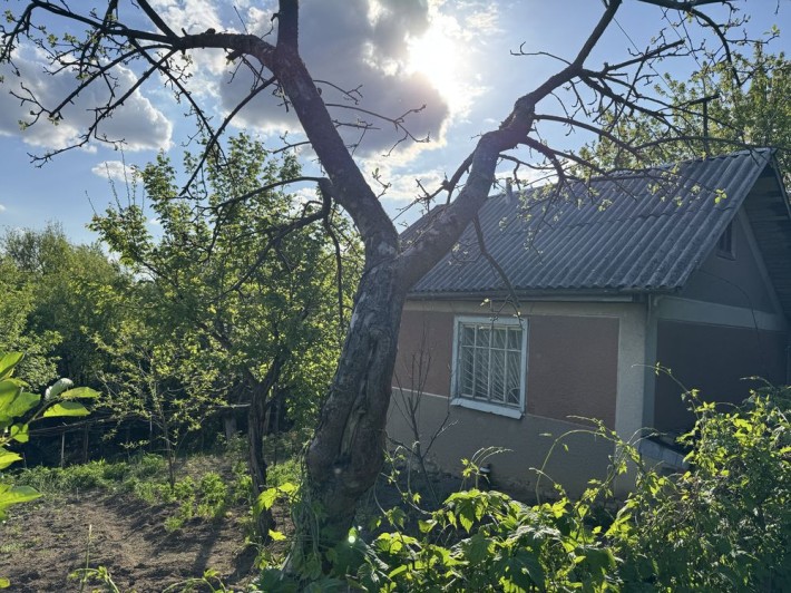 Продам дачу з будинком та заїздом в Садгорі - фото 1