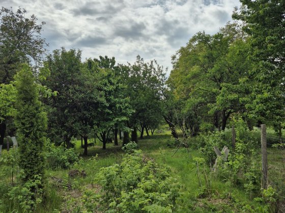 Продаж будинку (район Горяни) Ужгород