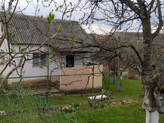 Будинок, 6 сот, Шахта Ужгород