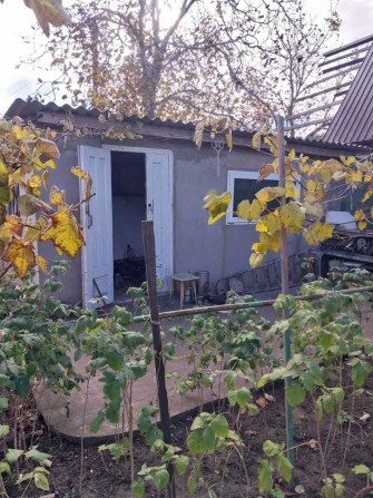 Продам дом в с .Светлое Новые дачи - фото 1