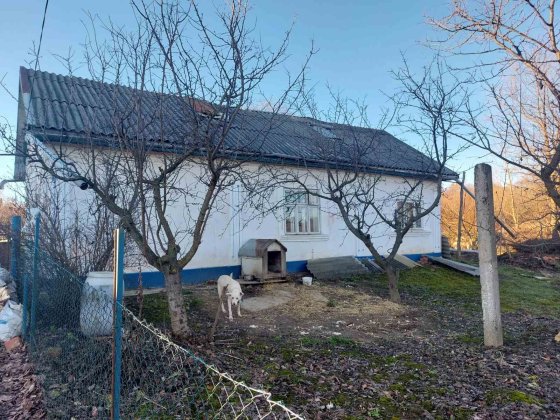 Продаж старого будинку на роші. Чернівці