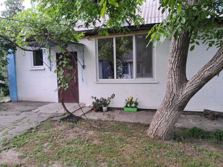 Продаю будинок 87 м. кв.  з ділянкою 38 соток - фото 1