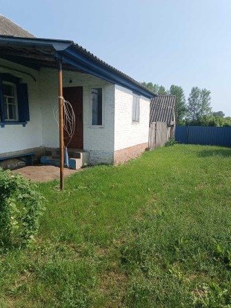 Продається господарство - фото 1