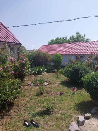 Продам будинок с. Мачухи - фото 1