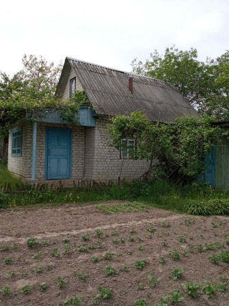 Дачный дом с участком - фото 1