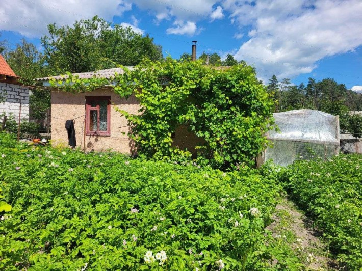 Продам дачу на Зазі. - фото 1