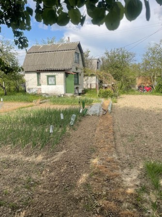 Продам Дачу товаривсво квітневе - фото 1