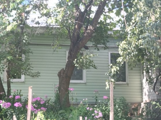 Будинок р-н Стадіона Гагаріна Чернигов