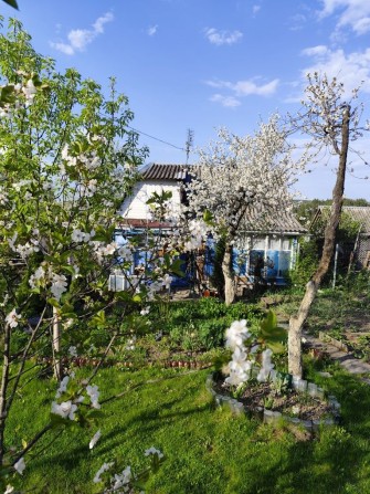 дача в с. Івашківці - фото 1