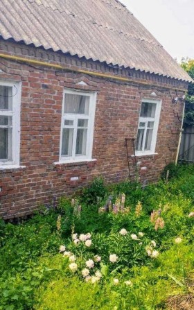 Продам будинок в Новій Водолазі Харківської області від власника - фото 1