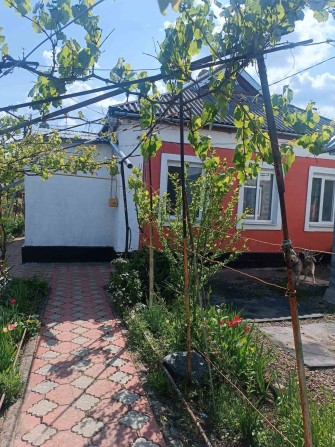 Продам будинок вулиці С.Білого(Готвальда)
Будинок - 8*9 ( - фото 1