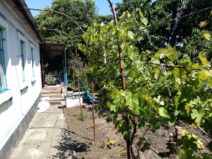 Продаю будинок , міняю на квартиру,  (або оренда) , біля ц/ринку - фото 1