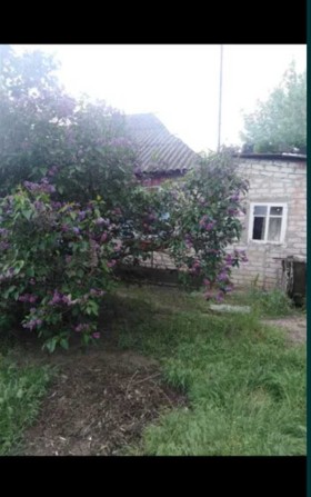 Продам дом в Безлюдовке .Учас 25сот, луг рядом карьер, газовое отопTB. - фото 1