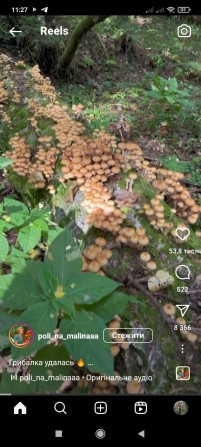 Продам будинок  в черкаській області - фото 1