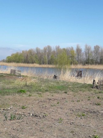 Продаж 2-х будинків на одній земельній ділянці біля річки Дніпро - фото 1