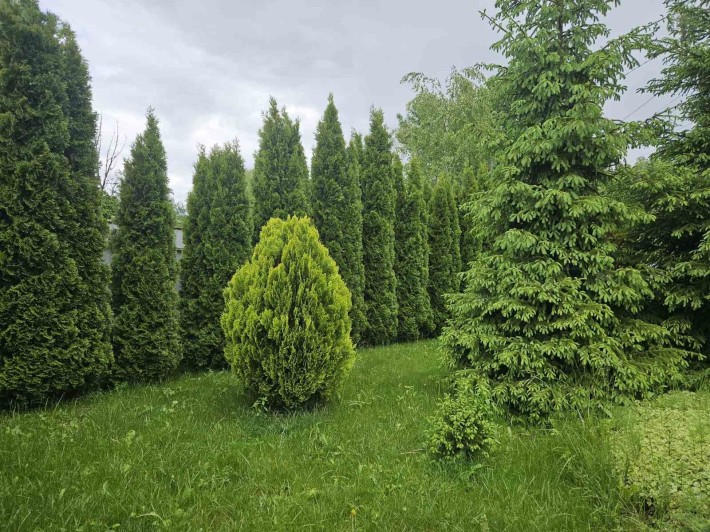 Здається в оренду Будинок в Обухові - фото 1