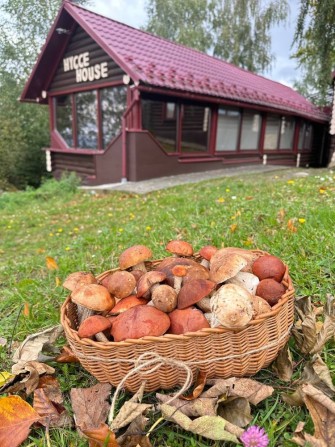Продається унікальний маєток в гірській місцевості. - фото 1